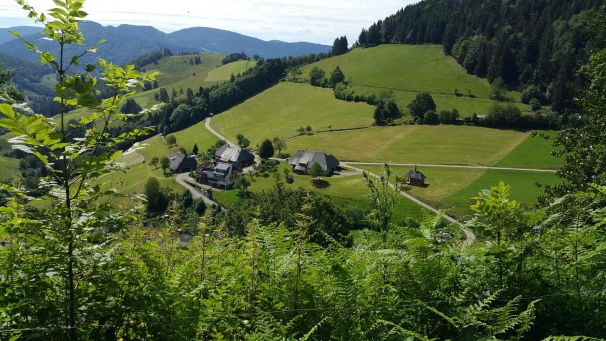 Haus Foehrenbach Διαμέρισμα Schonenberg Εξωτερικό φωτογραφία