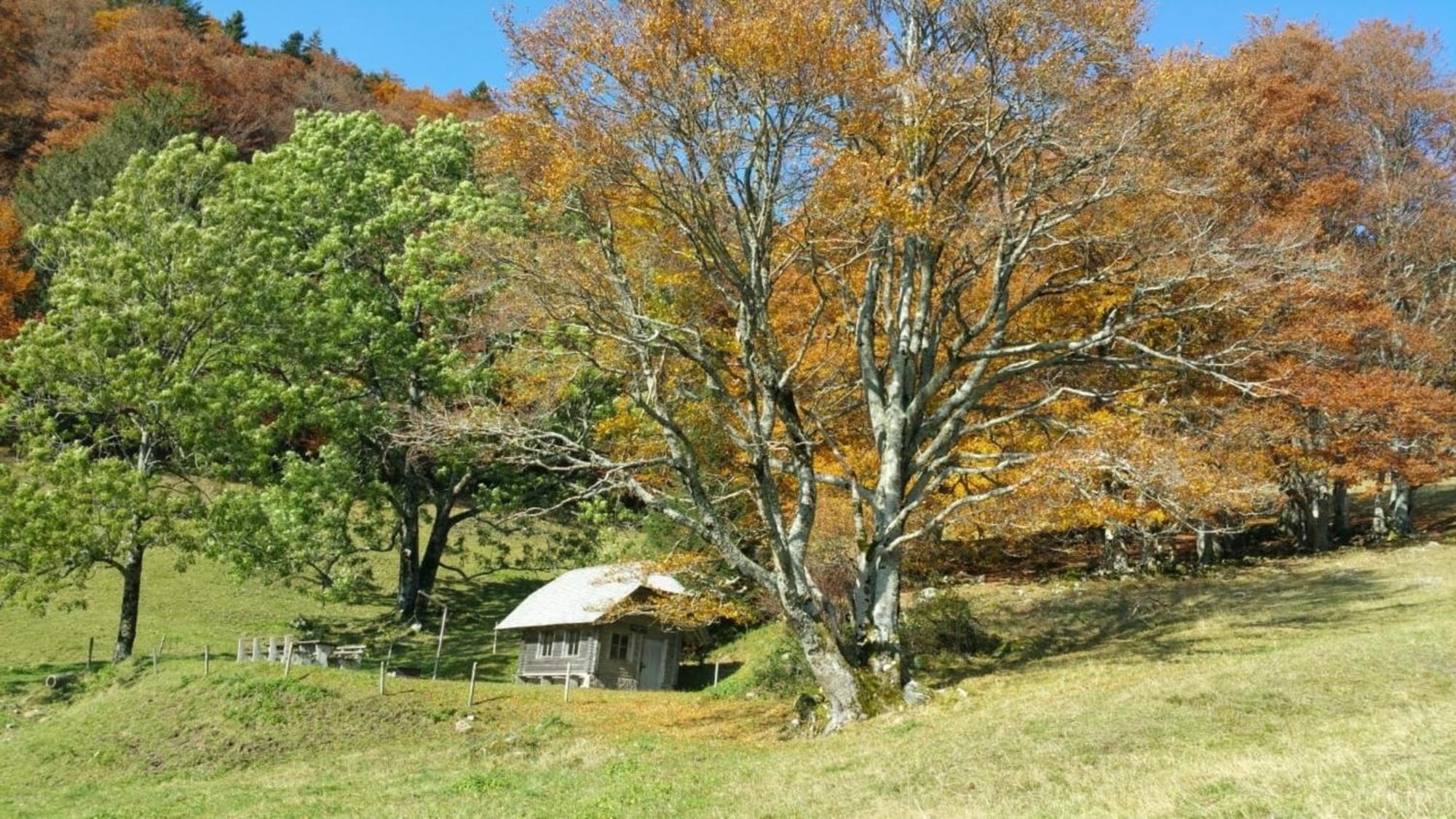 Haus Foehrenbach Διαμέρισμα Schonenberg Εξωτερικό φωτογραφία