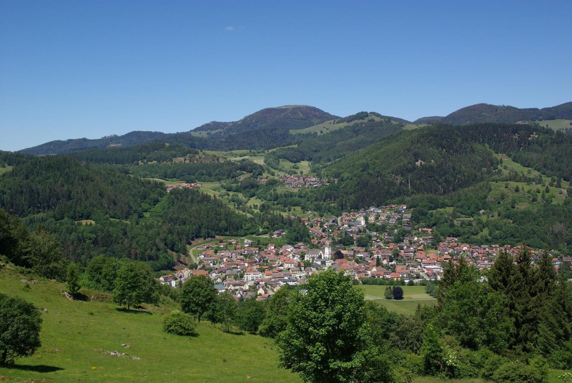 Haus Foehrenbach Διαμέρισμα Schonenberg Εξωτερικό φωτογραφία