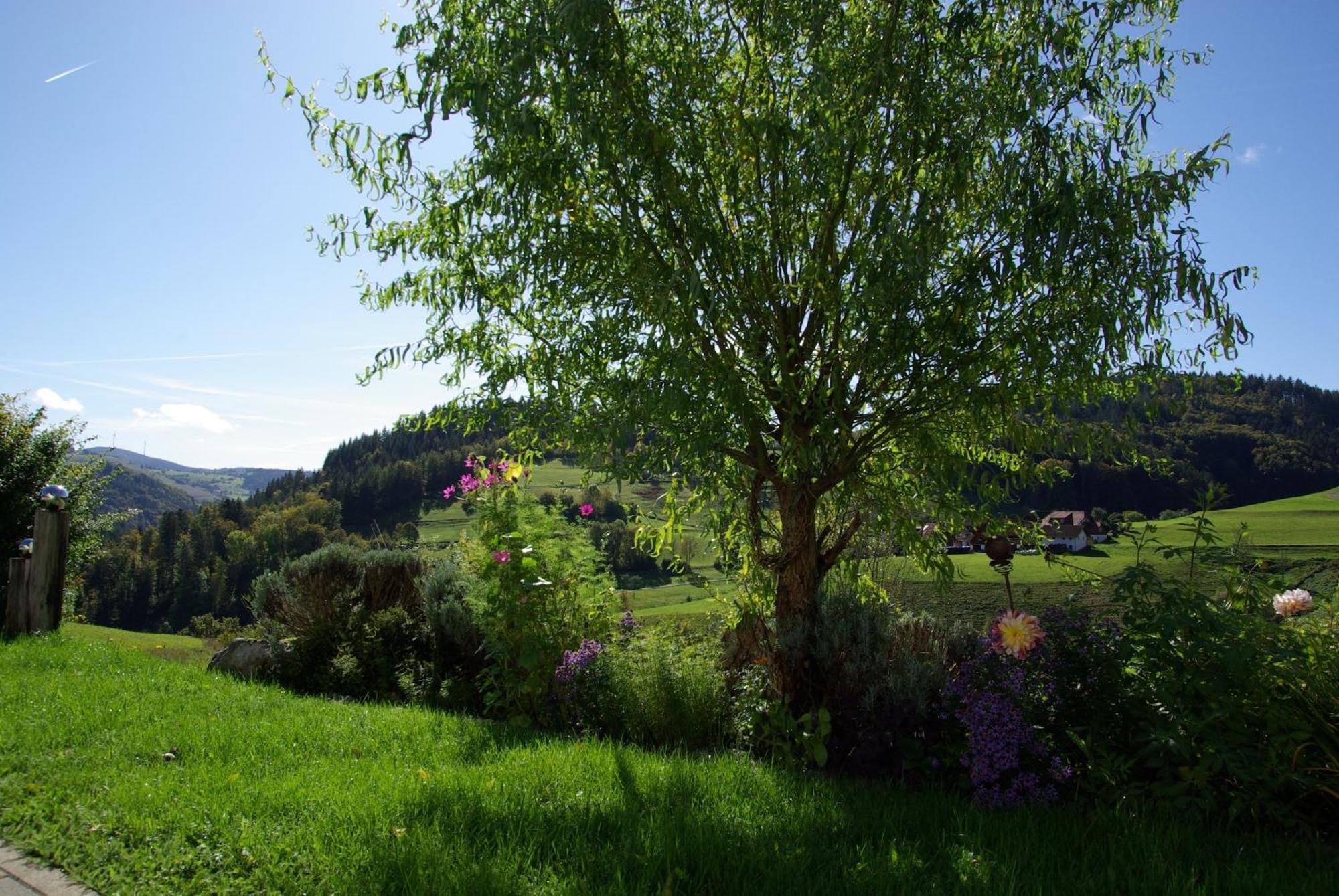Haus Foehrenbach Διαμέρισμα Schonenberg Εξωτερικό φωτογραφία